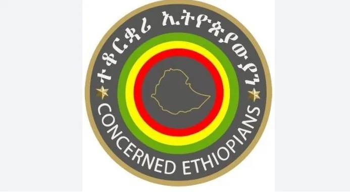 Ethiopian Diaspora - Concerned Ethiopians