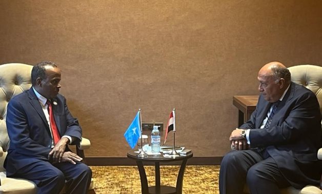 L'Egypte exprime sa solidarité avec la Somalie contre les tentatives de violation de sa souveraineté