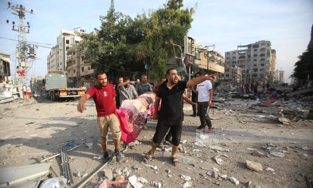 Une délégation parlementaire française reconnaît les efforts de l'Égypte pour un cessez-le-feu à Gaza