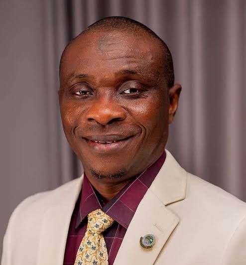 Canaliser les gains de la suppression des subventions vers l’électricité et l’industrialisation, dit Don à Tinubu