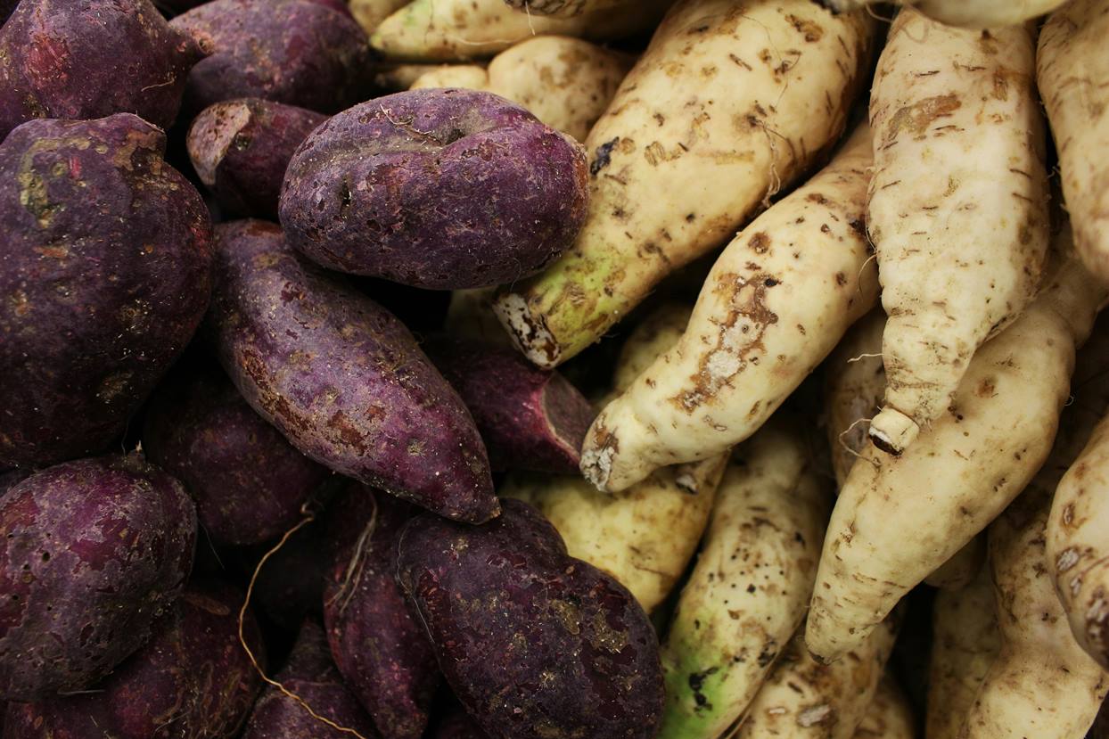 Comment faire pousser des patates douces à la maison en 5 étapes simples