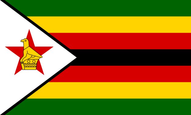 L'Égypte et le Zimbabwe discutent de l'activation de protocoles d'accord sur le logement abordable et les villes intelligentes