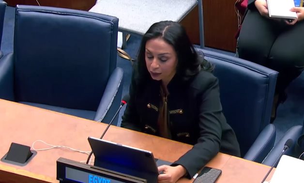 Le gouvernement a adopté un programme ambitieux de réforme économique et de politiques de protection sociale, selon Maya Morsi, chef du NCW