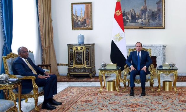 Le président égyptien et le ministre kenyan de la Défense discutent de la crise en mer Rouge