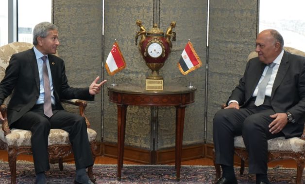 Les ministres des Affaires étrangères égyptien et singapourien discutent de la guerre génocidaire israélienne contre Gaza