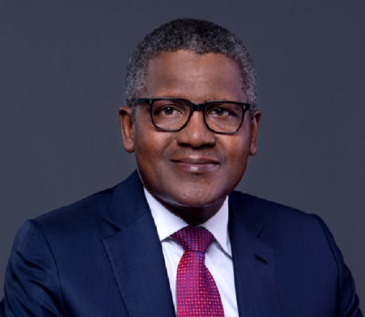 Les pays en développement devraient adopter des réformes institutionnelles pour la croissance économique – Dangote