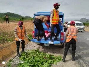 19 dead, one injured in Kano auto crash