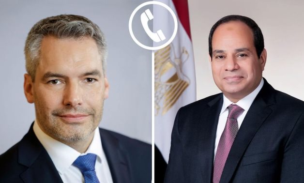 Sissi égyptien et le chancelier autrichien discutent de la guerre israélienne en cours contre Gaza