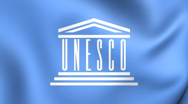 L'Institut de l'UNESCO insiste sur les programmes de formation sur mesure