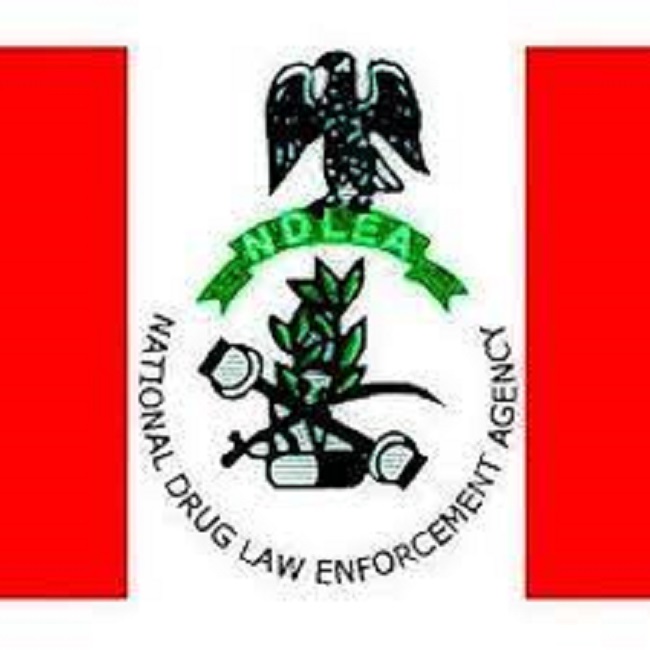 La NDLEA arrête un grand-père de 75 ans à Ekiti et une grand-mère de 70 ans à Benue pour trafic de drogues illicites