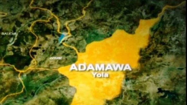 Adamawa govt shuts down schools amid measles outbreak
