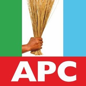Ondo primaries satisfactory to diaspora community — APC Chief, Aliu