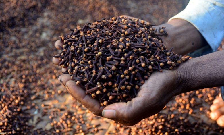 Les législateurs de Zanzibar réclament davantage d’efforts pour augmenter la production de clous de girofle