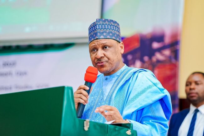 Ce que Tinubu m'a demandé de faire — Ministre de l'Information, Idris
