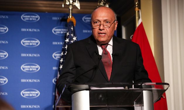 Le ministre égyptien des Affaires étrangères participera à la réunion des BRICS en Russie les 10 et 11 juin