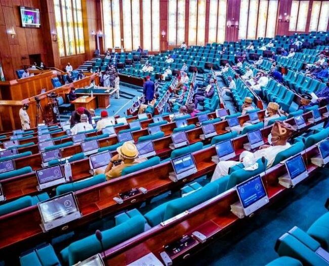 Les représentants ordonnent une enquête sur un site minier effondré au Niger