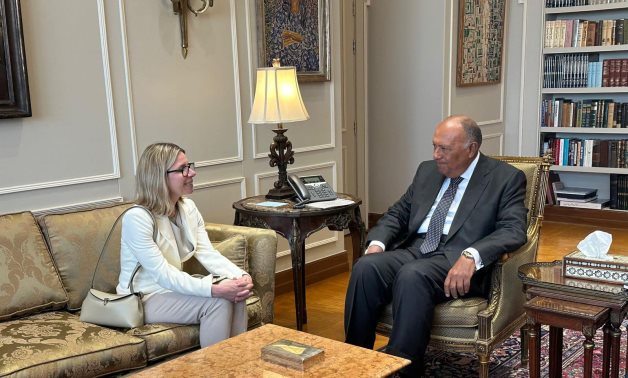 Le ministre égyptien des Affaires étrangères et un responsable de la Banque mondiale discutent de l'impact économique du conflit à Gaza et au Soudan