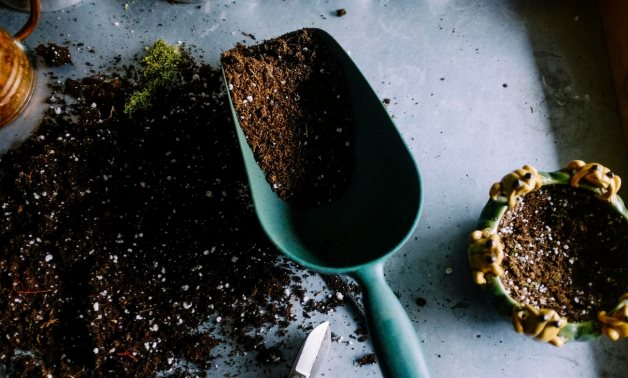 Le Centre national de recherche égyptien découvre un biofertilisant appelé « ABM »