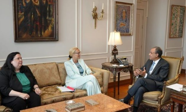 Le ministre égyptien des Affaires étrangères et le coordinateur de l'ONU discutent des modalités d'acheminement de l'aide humanitaire à Gaza