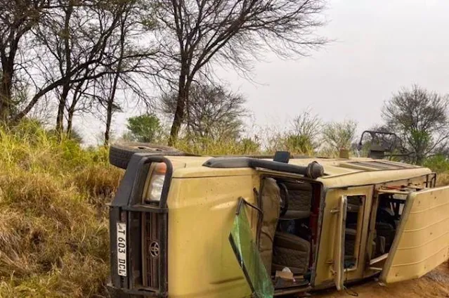 Un touriste chinois tué dans un accident de la route au Serengeti