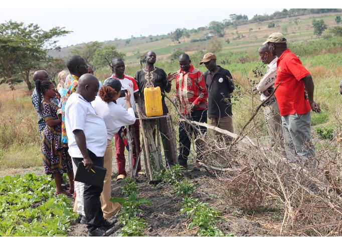 Comment le projet Kilimo Thabiti change l'agriculture