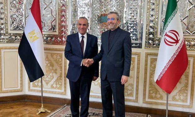 La guerre à Gaza va accentuer l'instabilité et menacer la sécurité mondiale, selon l'Egypte et l'Iran