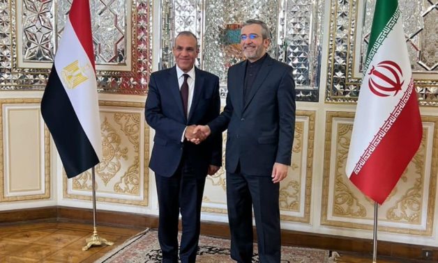 Le ministre égyptien des Affaires étrangères appelle à la retenue pour préserver la stabilité régionale lors d'un entretien téléphonique avec son homologue iranien