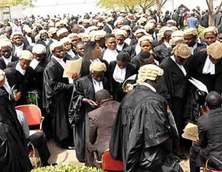 Muslim lawyers back, COVID-19, Lawyers, Lawyers are slapping us