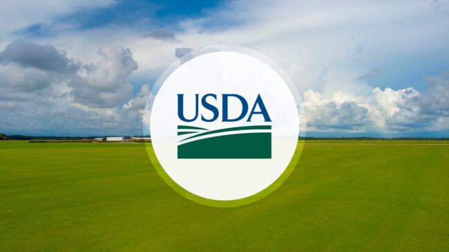 L'USDA, l'US Varsty, le FCAH&PT réunissent les parties prenantes à Ibadan pour stimuler l'innovation technologique agricole