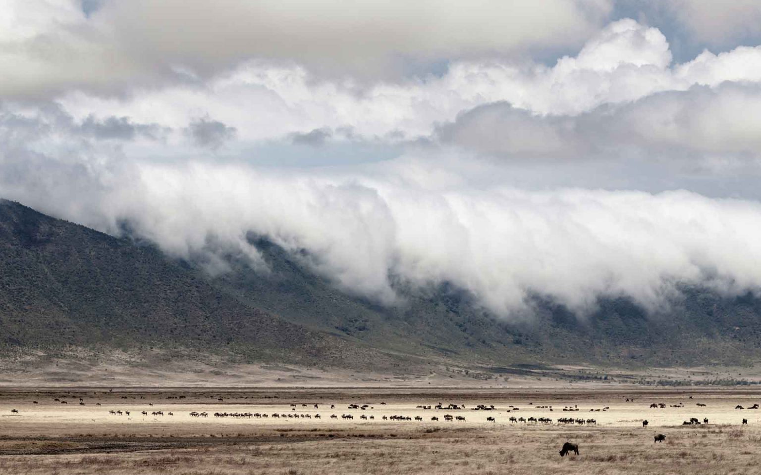 Le Ngorongoro reconnu comme site du patrimoine géologique