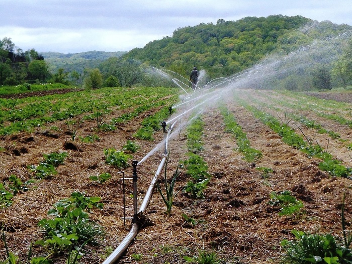 Le gouvernement fédéral approuve l'irrigation et d'autres projets pour la communauté d'Iperu