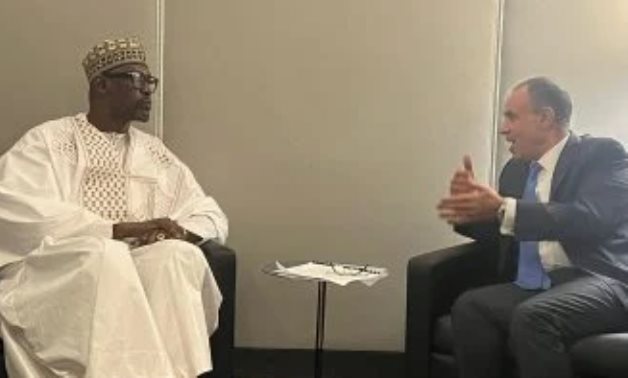 Le ministre des Affaires étrangères confirme la poursuite des efforts égyptiens pour promouvoir la stabilité dans la région du Sahel