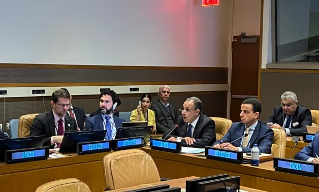 Le ministre égyptien des Affaires étrangères participe à la réunion des ministres des Affaires étrangères des BRICS et appelle à une réforme du système financier mondial