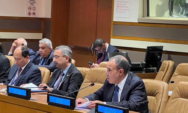 Le retard dans la résolution de la cause palestinienne expose le monde à un risque d'instabilité, selon l'Egypte