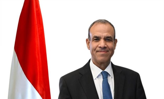 L'Egypte est prête à soutenir les efforts antiterroristes des pays du Sahel (AE)