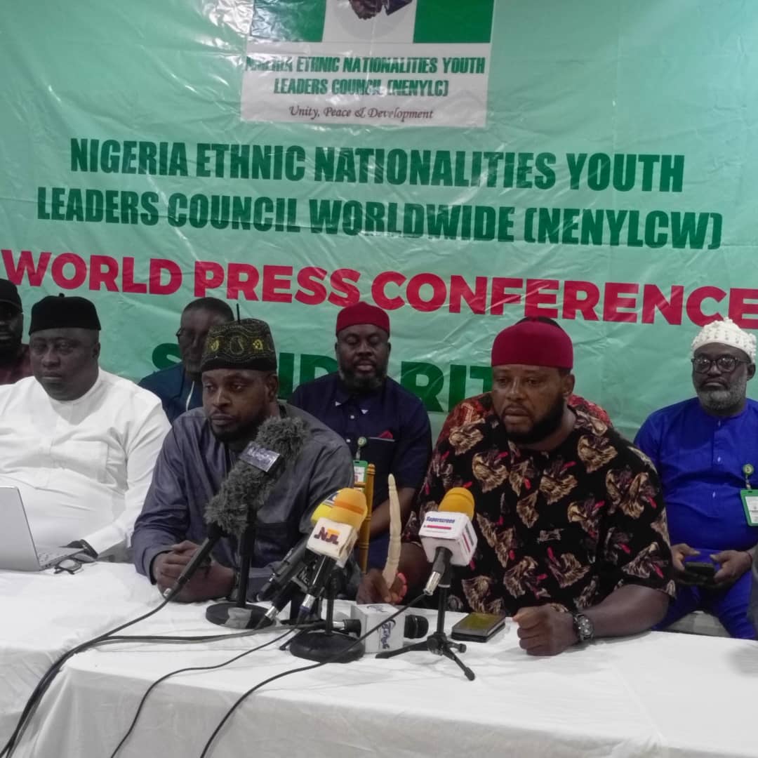 Les jeunes leaders des nationalités ethniques saluent Tinubu
