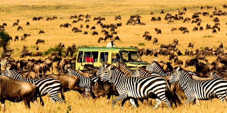 WORLD TRAVEL AWARDS FEAT : La Tanzanie anticipe un afflux de touristes