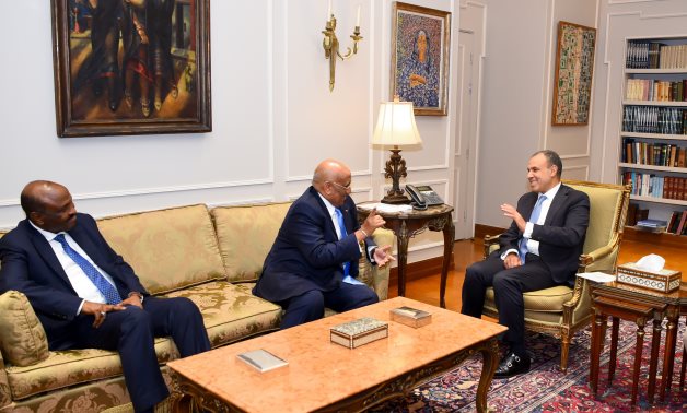 Le ministre égyptien des Affaires étrangères et le président de Djibouti discutent des questions dans la Corne de l'Afrique