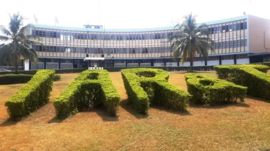 NiWARD propose des solutions à l'insécurité alimentaire au Nigeria