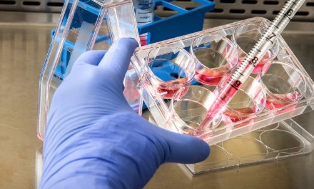L’Égypte réalise une percée pharmaceutique grâce à la production locale d’insuline