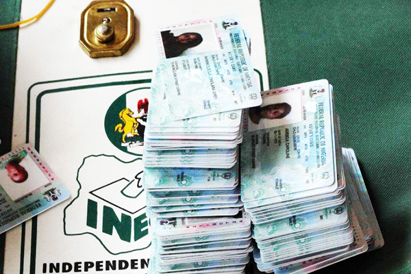 Pourquoi nous pourrions détruire plus de six millions de PVC non collectés – INEC