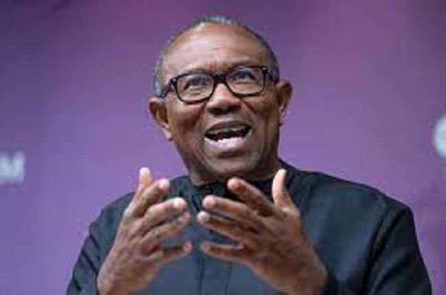 LP Chieftain à Tinubu : rappelez Morka à l’ordre suite aux menaces contre Peter Obi