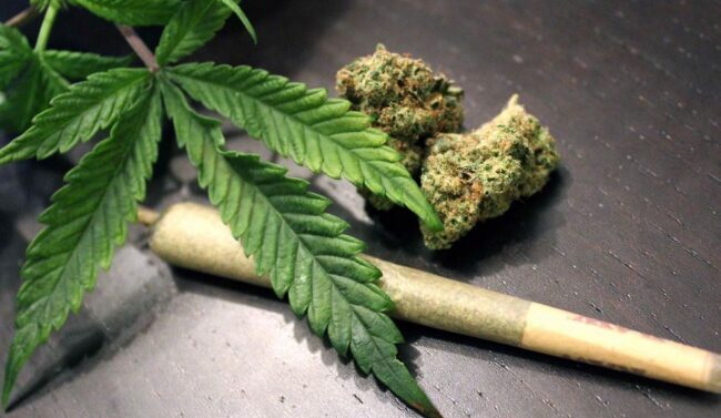 Le Nigeria rejoint les nations mondiales à forte consommation de cannabis