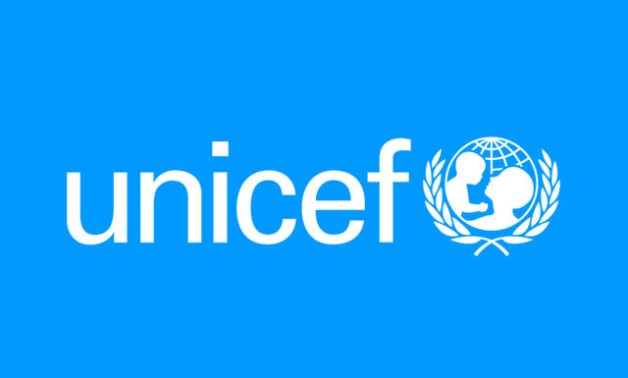 Égypte, UNICEF Mull Ways to Foster Healthcare Coop.