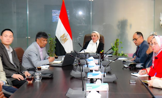 L'Égypte coopère avec la Chine dans la plantation forestière