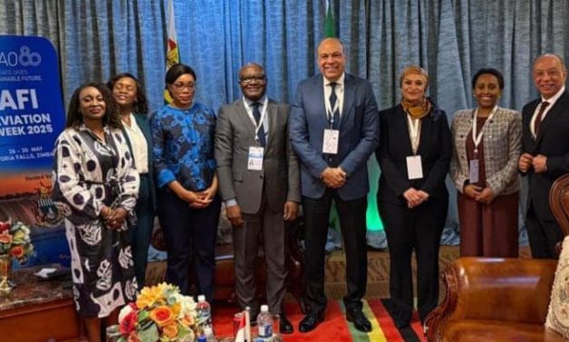 L'Égypte cherche le siège du Conseil de l'OACI, soutient l'intégration de l'aviation africaine - ministre