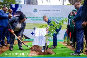 La Finlande injecte 20 millions d'euros / - subvention pour la foresterie de la Tanzanie et l'utilisation des terres durables