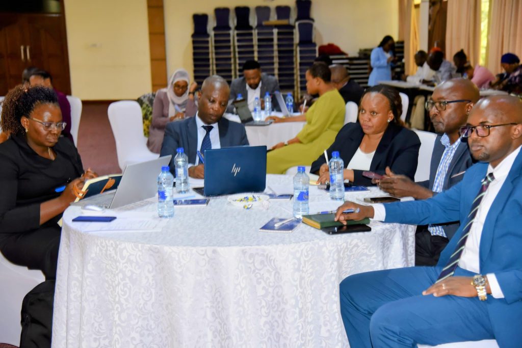 Les nordiques s'engagent à soutenir le grand plan énergétique de la Tanzanie