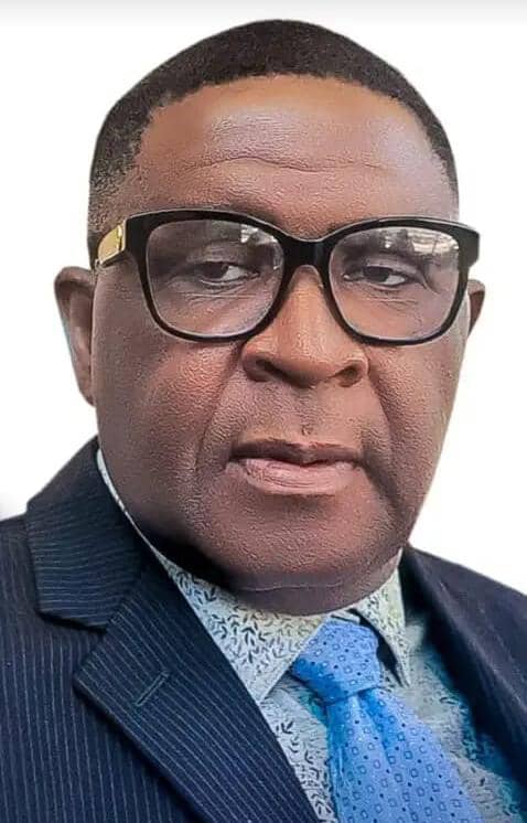 Soutien des toiles nigérianes basées au Canada pour Tinubu