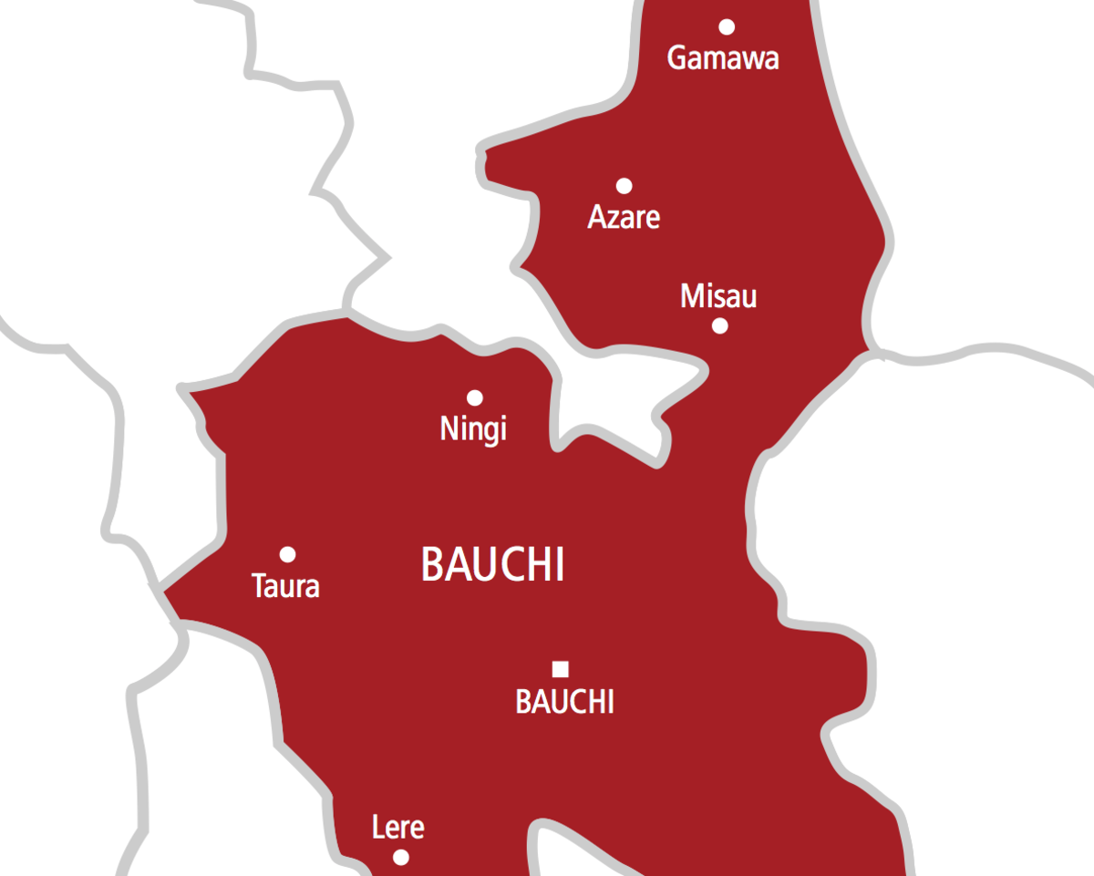 Bauchi: la police arrêt le suspect de la cybercriminalité